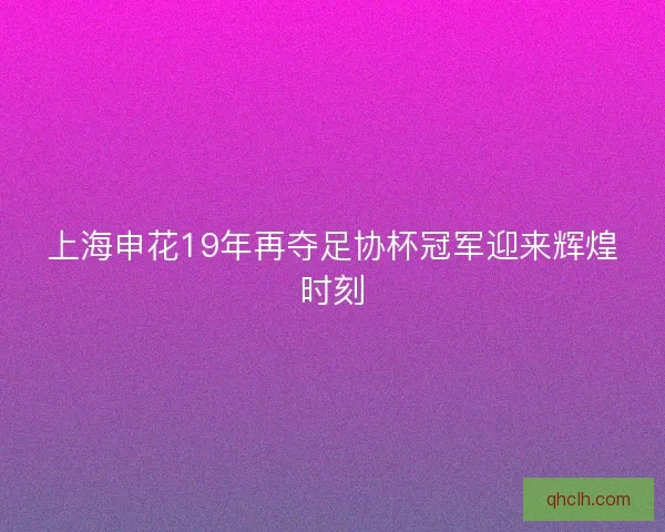 上海申花19年再夺足协杯冠军迎来辉煌时刻
