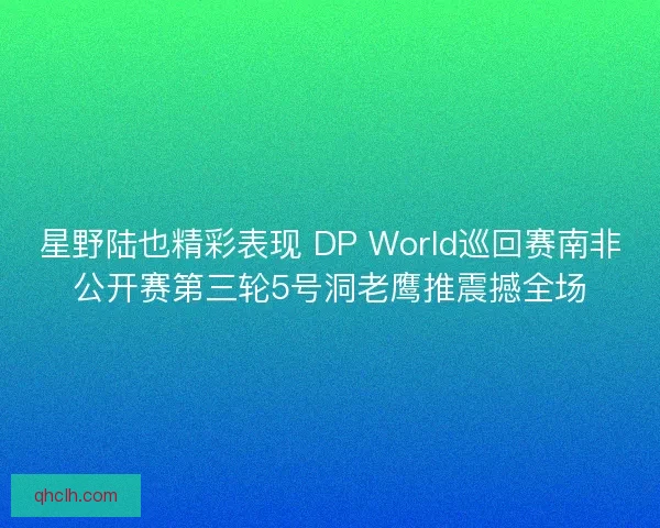 星野陆也精彩表现 DP World巡回赛南非公开赛第三轮5号洞老鹰推震撼全场